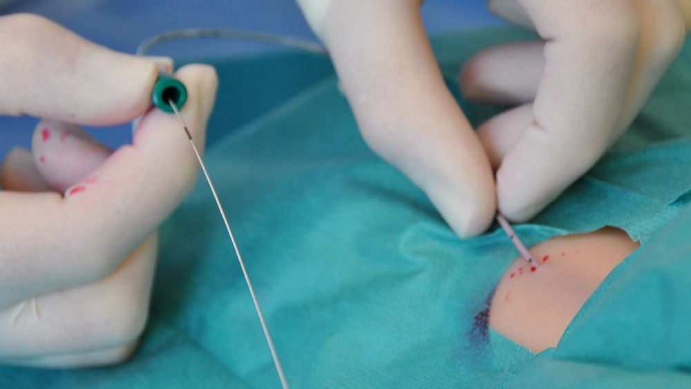 Close-up of gloved hands suturing a small surgical incision on an animal, with a needle and suture thread visible against a sterile surgical drape.