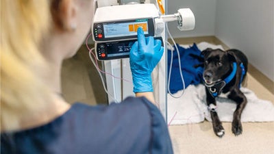 Care of hospitalized patients