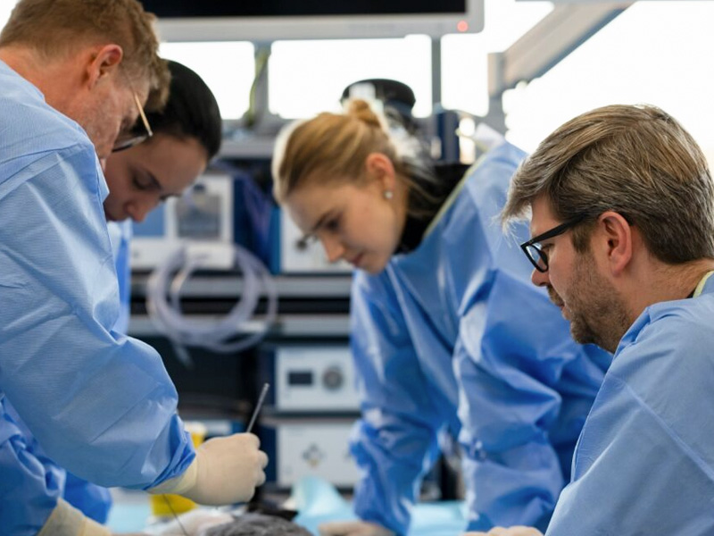 Graphic illustration of a veterinary surgical procedure with an animal on an operating table, surgical light overhead, and infusion equipment nearby.
