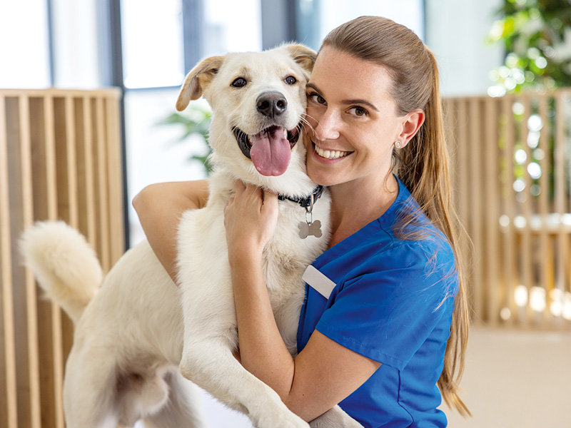 Medical person in workwear holds a dog in an indoor veterinary environment.
