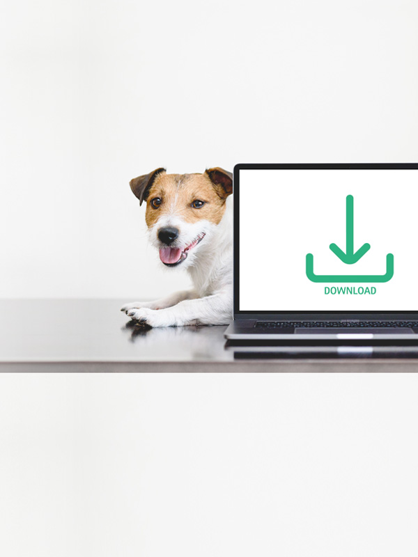 Laptop displaying a download icon on the screen, placed on a light surface with a dog resting behind it, against a clean white background.