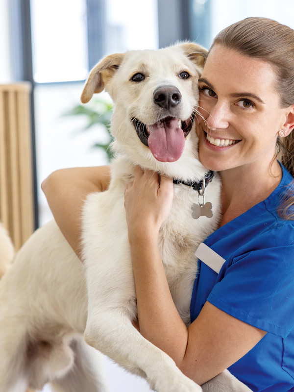 A veterinary professional in blue scrubs holds a happy, light-colored dog that is looking toward the camera.