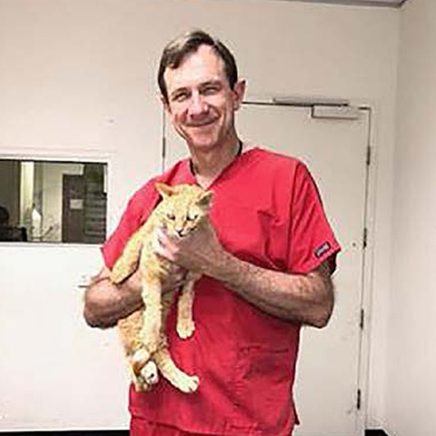 Doctor wearing red medical scrubs holding an orange cat in a clinical room.